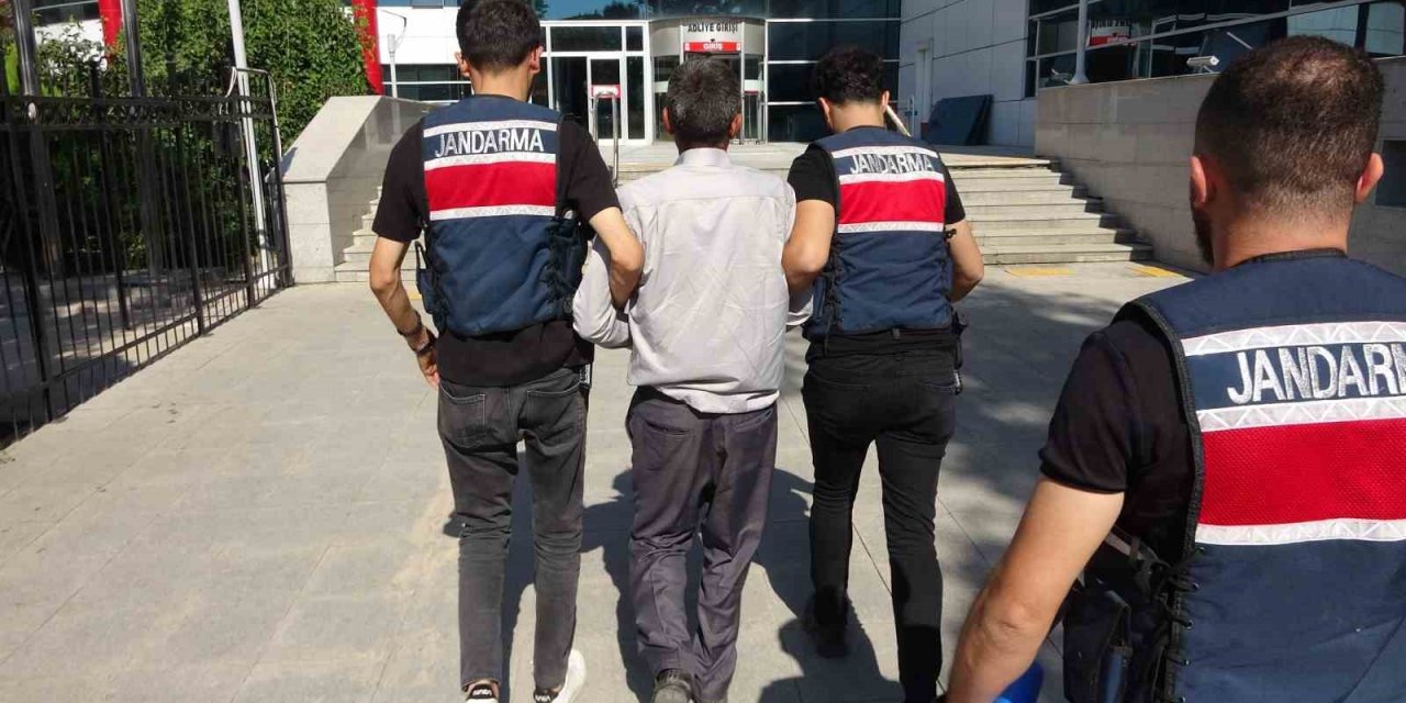 Terör operasyonunda 1 şahıs tutuklandı