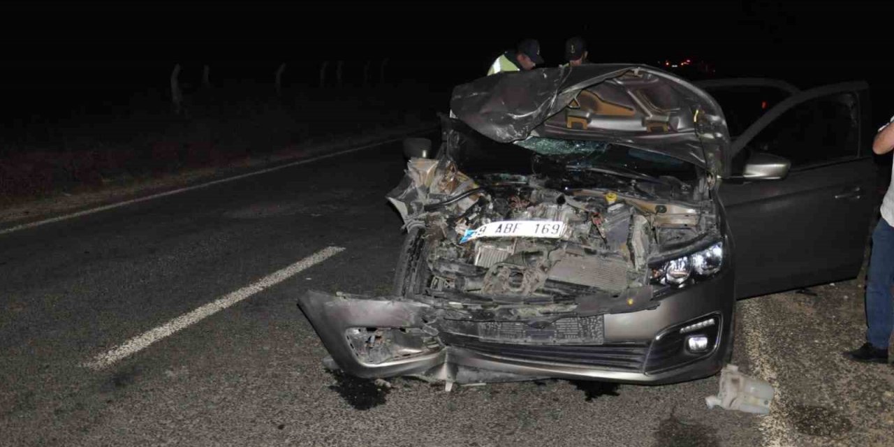 Domuz sürüsüne çarpan otomobilde 1'i ağır 2 yaralı