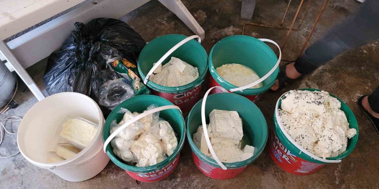 Peynir imalathanesinde şok görüntüler