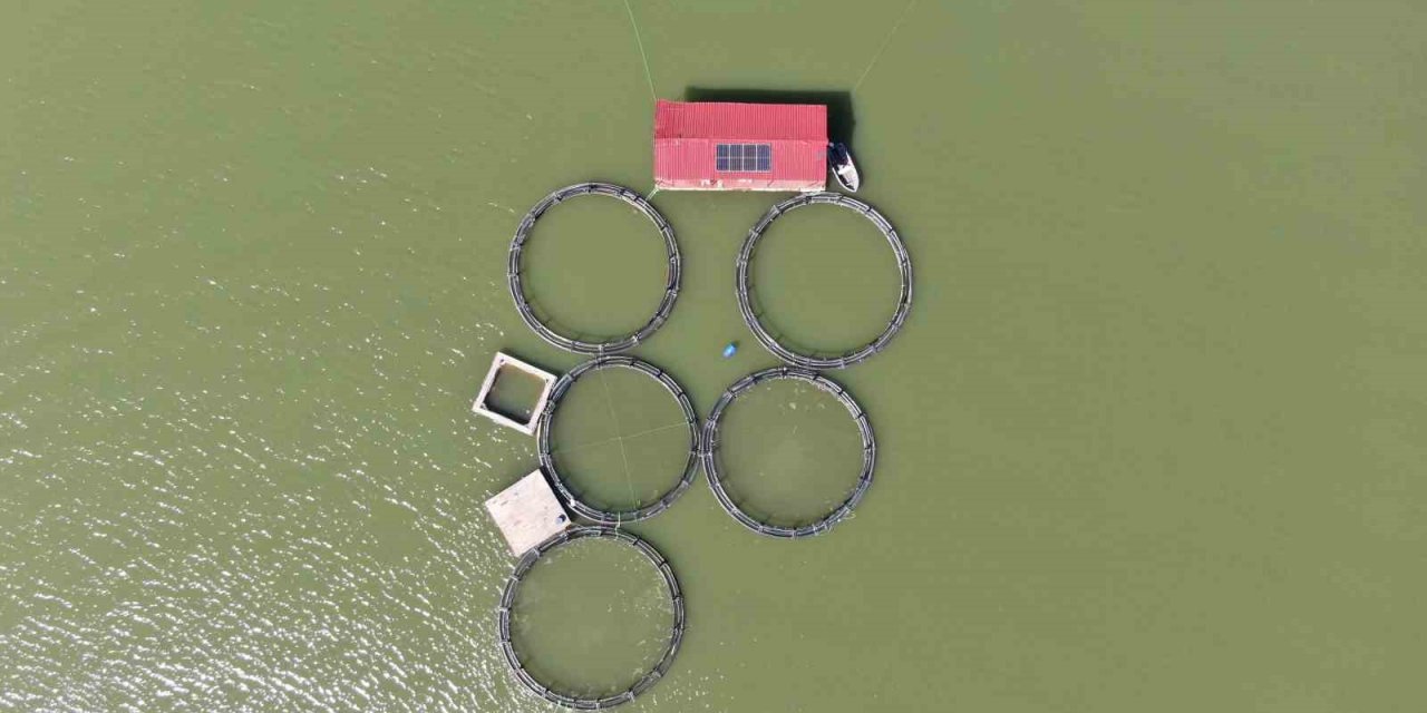 Balık kafesleri yırtıldı, oltasını alan baraja koştu