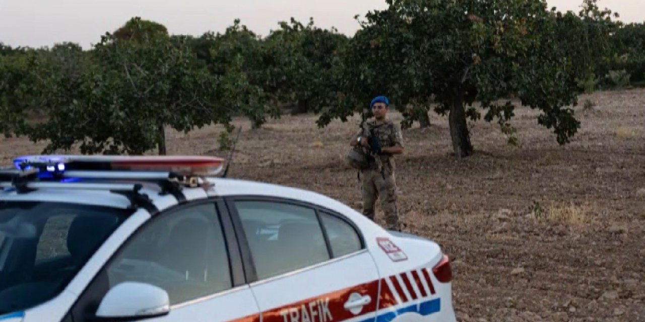 Gaziantep’te “yeşil altın” denetimlerinde 108 tutuklama