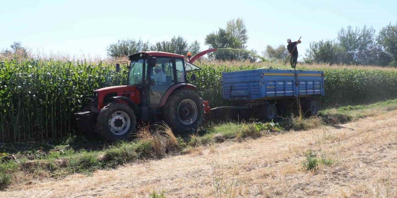 Elazığ’da silajlık mısır hasat etkinliği düzenlendi