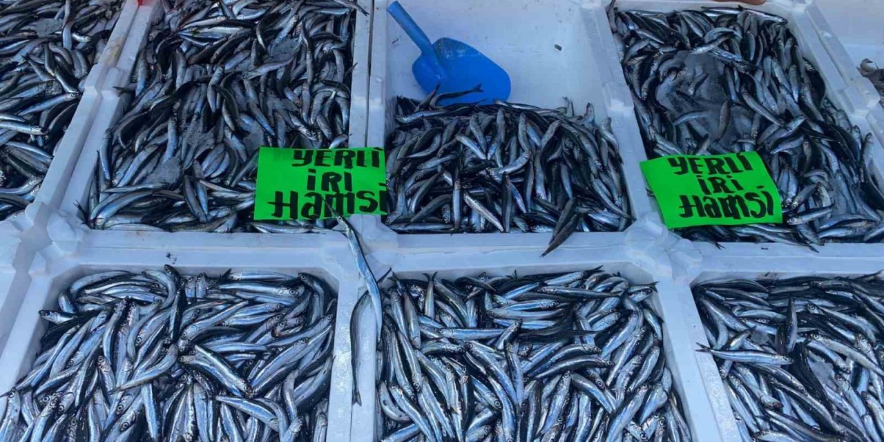 Zonguldak’ta hamsinin kilosu 80 liradan alıcı buldu