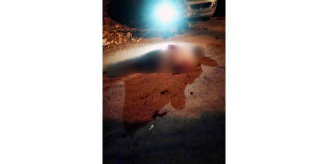 Minibüsle ezemeyince 30 yerinden bıçakladı