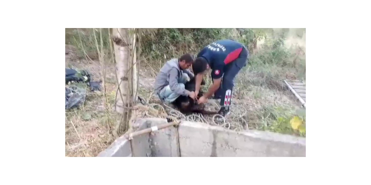 7 metre derinliğindeki kuyuya düştü, itfaiye kurtardı