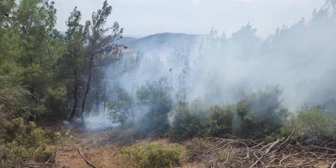 Gelibolu’da yıldırım düşmesi sonucu çıkan orman yangını kontrol altına alındı