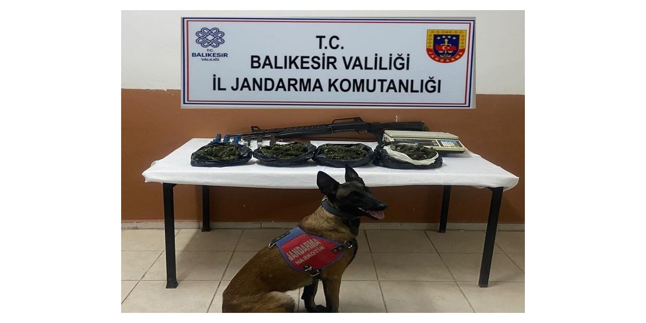 Gömeç’te 500 gram kubar esrar ele geçirildi