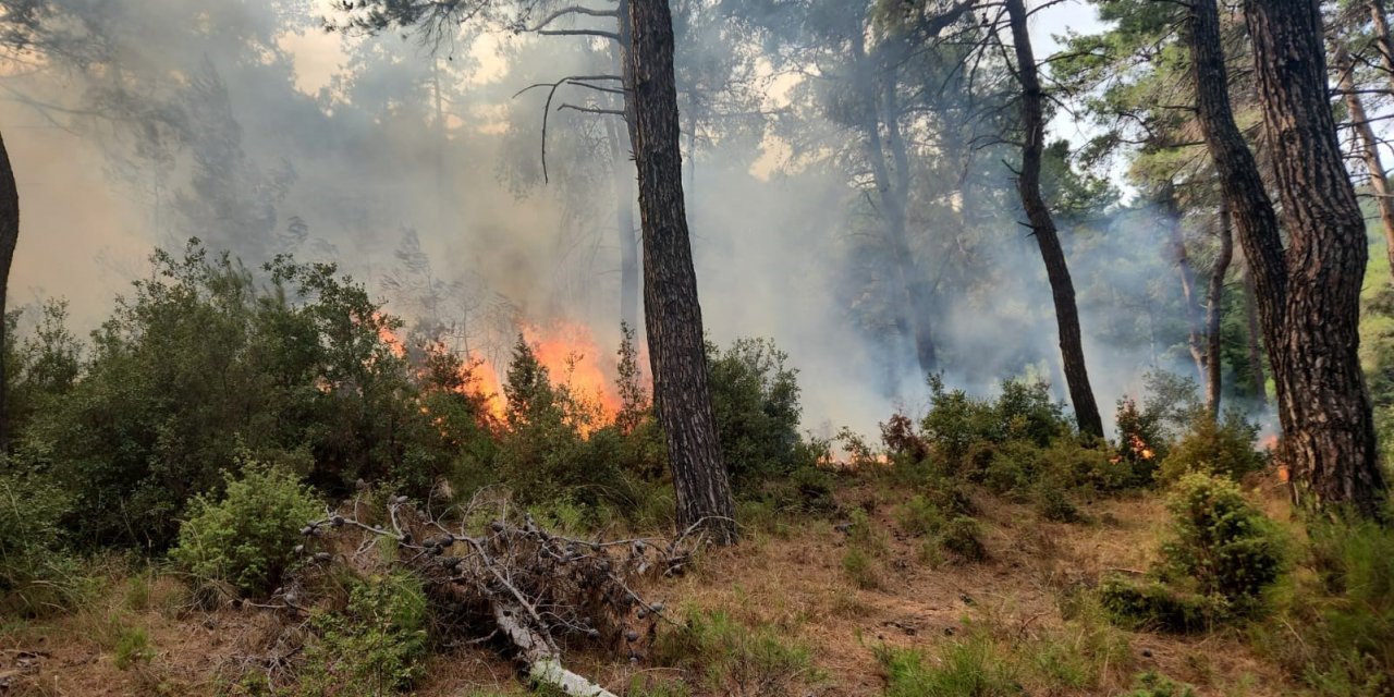 Gelibolu’da yıldırım düşmesi sonucu çıkan orman yangını kontrol altına alındı