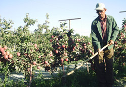 Karapınar, Yeşilpınar olmalı