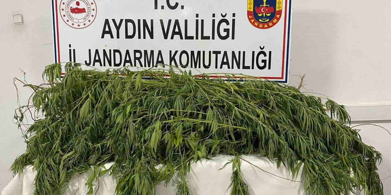 Germencik’te uyuşturucu operasyonu