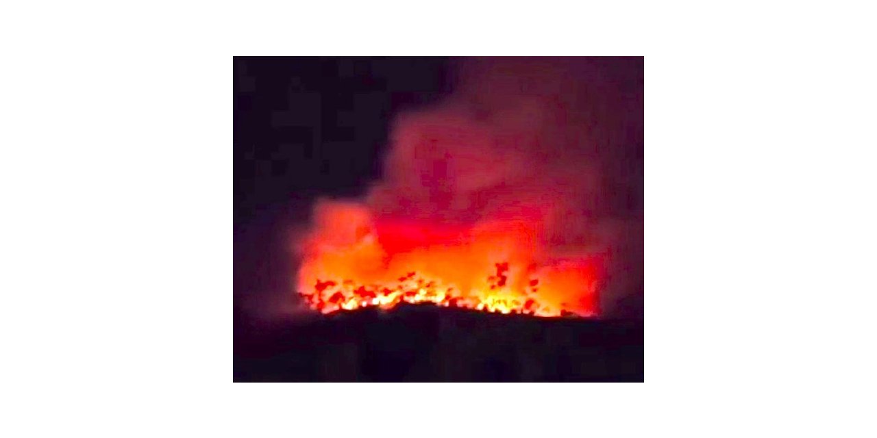 Çankırı’da 2 gün süren orman yangını söndürüldü