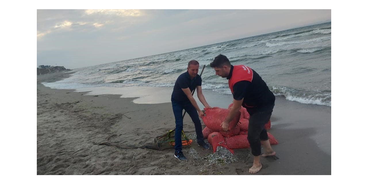 Kaçak avlanılan 5 bin 500 kilo kum şırlanı denize bırakıldı