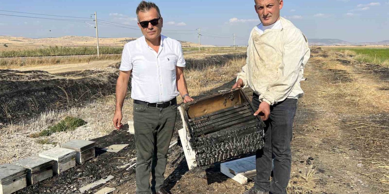 Kahramanmaraş’ta 150 arı kovanı yandı