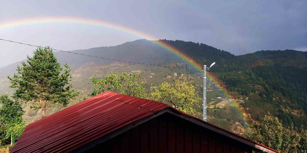 Yağmurun ardından gelen güzellik