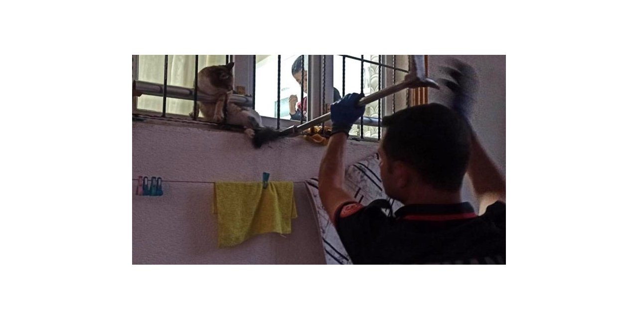 Pencere korkuluklarına sıkışan kediyi itfaiye ekipleri kurtardı