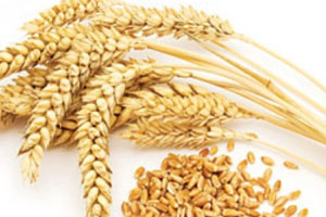 Öldürmeyip süründüren hastalık