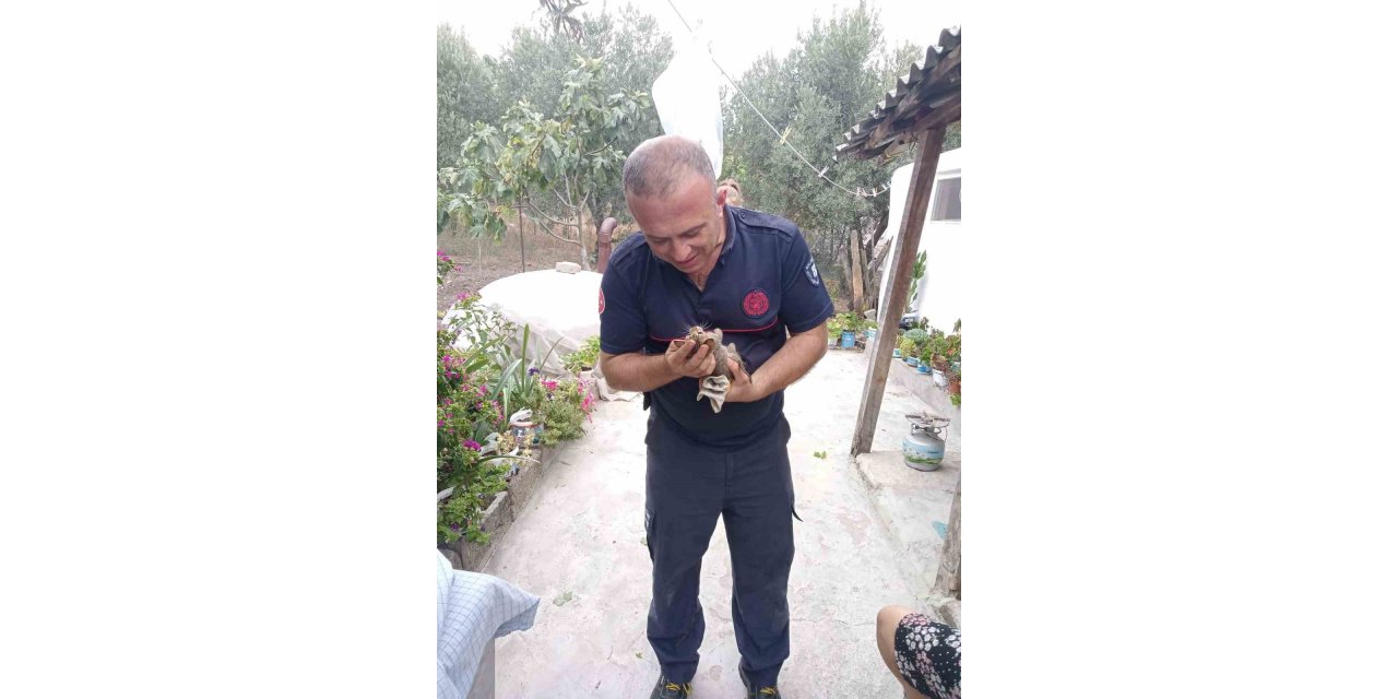 Kuyuya düşen yavru kediyi itfaiyeciler kurtardı