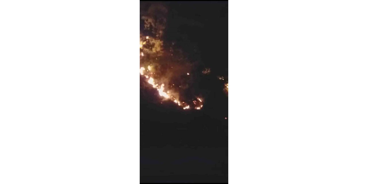 Kastamonu’da korkutan orman yangını