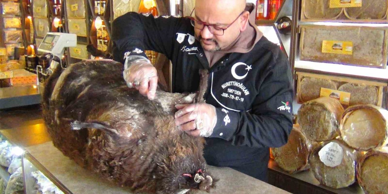 Kars’ta asırlık tuluk peyniri yoğun ilgi görüyor
