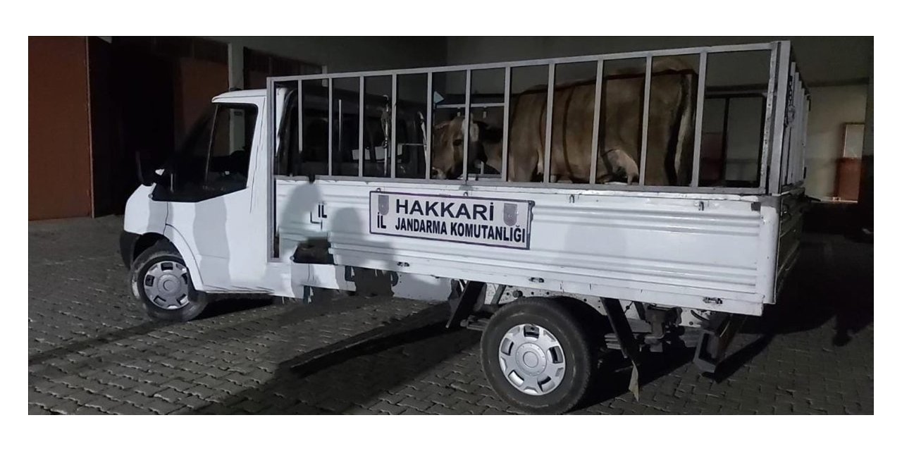 Hakkari’de 49 şüpheli hakkında işlem yapıldı