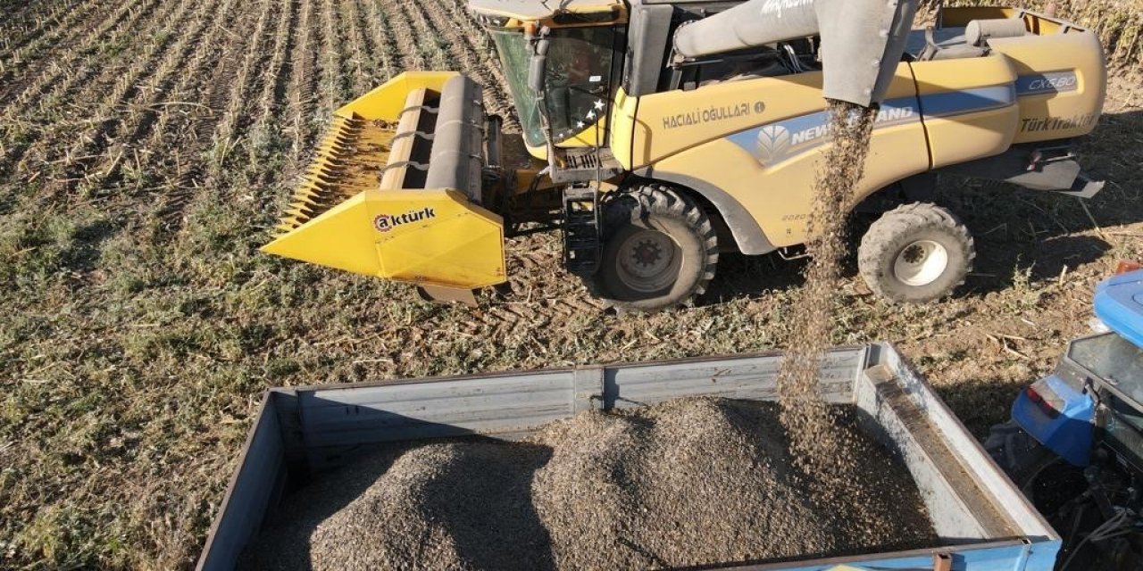 Ayçiçeği Hasadı Tomarzalı Üreticilerin Yüzünü Güldürdü