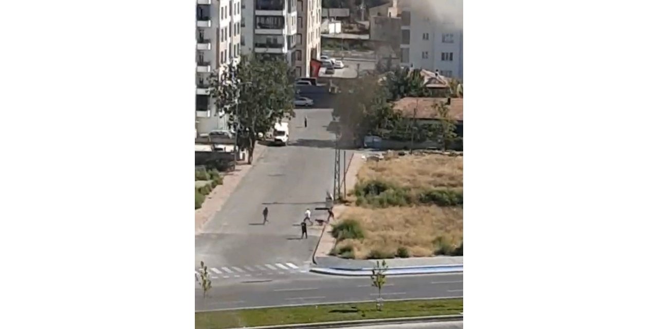 Dehşet anları kamerada: Köpek gence böyle saldırdı