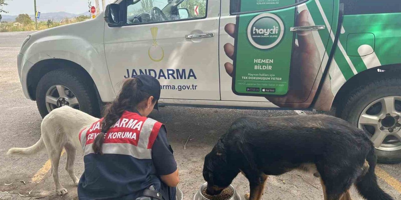 Aydın’da jandarma ekipleri denetimlerini sürdürüyor