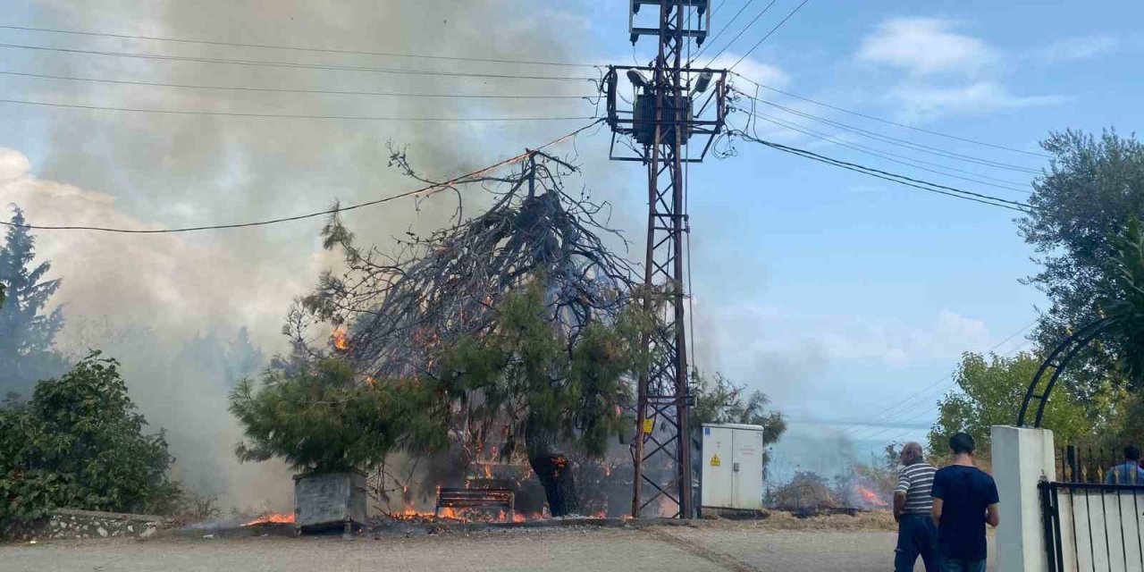 Trafo patladı, ağaçlar ve otluk alan alev aldı