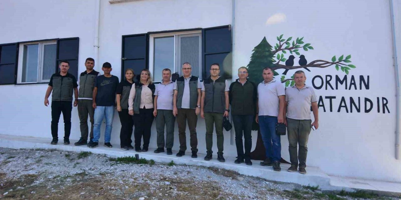 Orman yangın gözetleme kuleleri yenileniyor