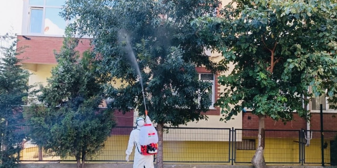 Okul bahçelerindeki ağaçlar ilaçlanıyor