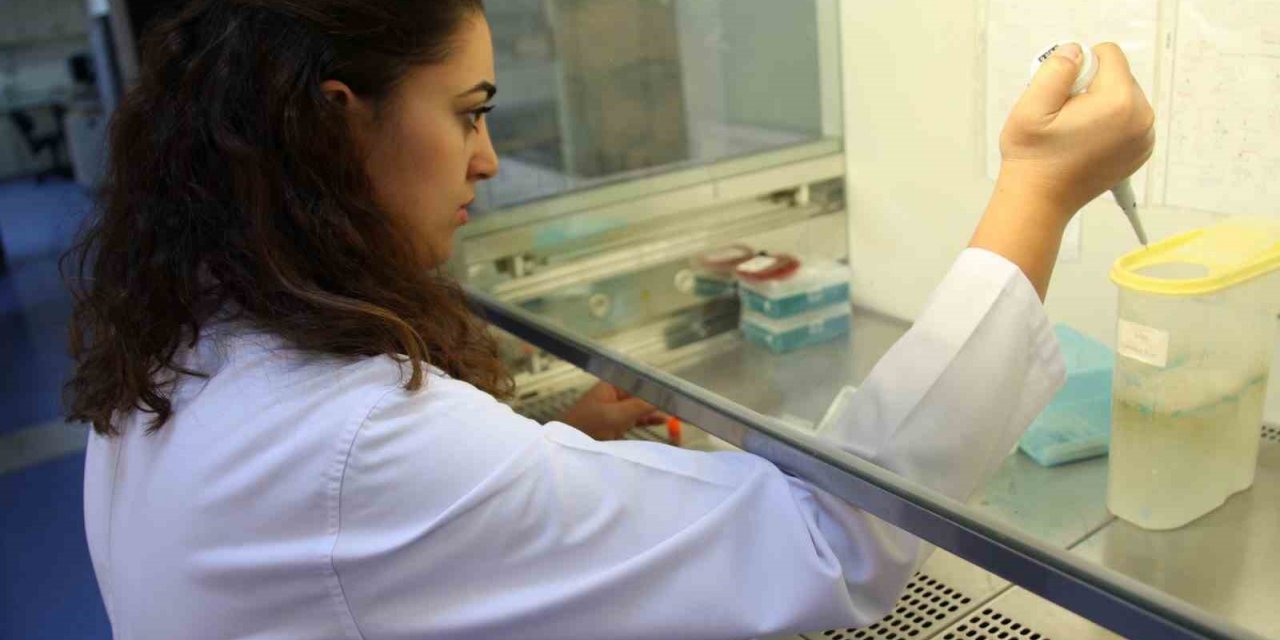 Akdeniz Üniversitesi, THE 2024 Dünya Üniversiteleri Sıralamasında ilk bin 200 üniversite arasında