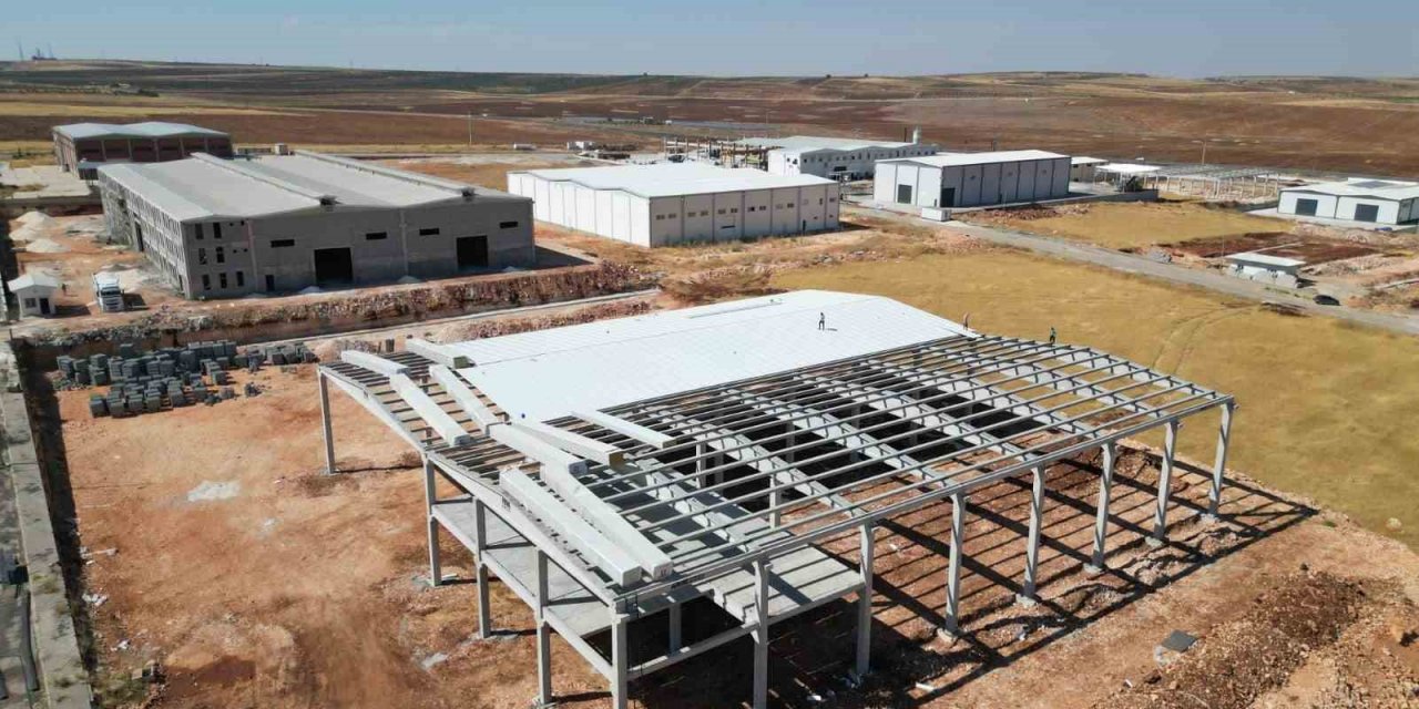 Türkiye’nin fıstık ihracatını karşılayan Şanlıurfa’da modern tesisler kuruluyor