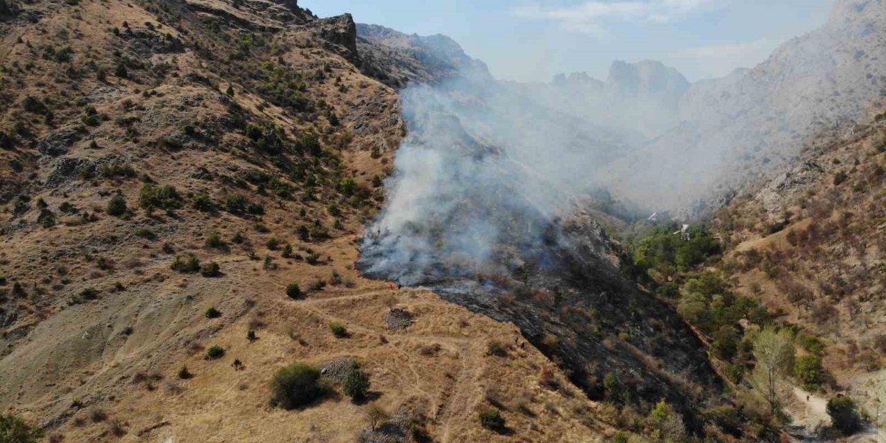 Gümüşhane’de örtü yangını: 2 hektarlık alan küle döndü