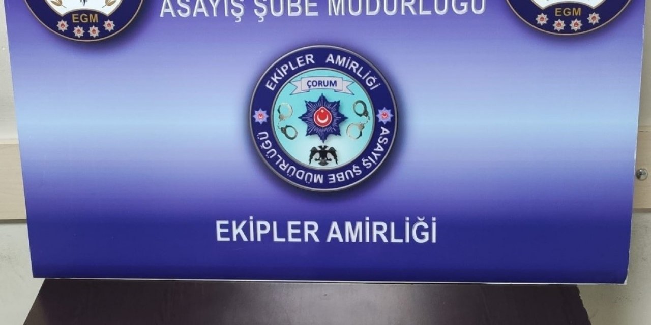 Huzur uygulamasında 10 silah ele geçirildi