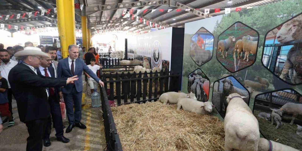 3. Küçükbaş Hayvancılık Festivali başladı