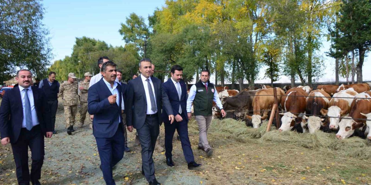 Vali Çiçek, Göle TİGEM’de incelemelerde bulundu