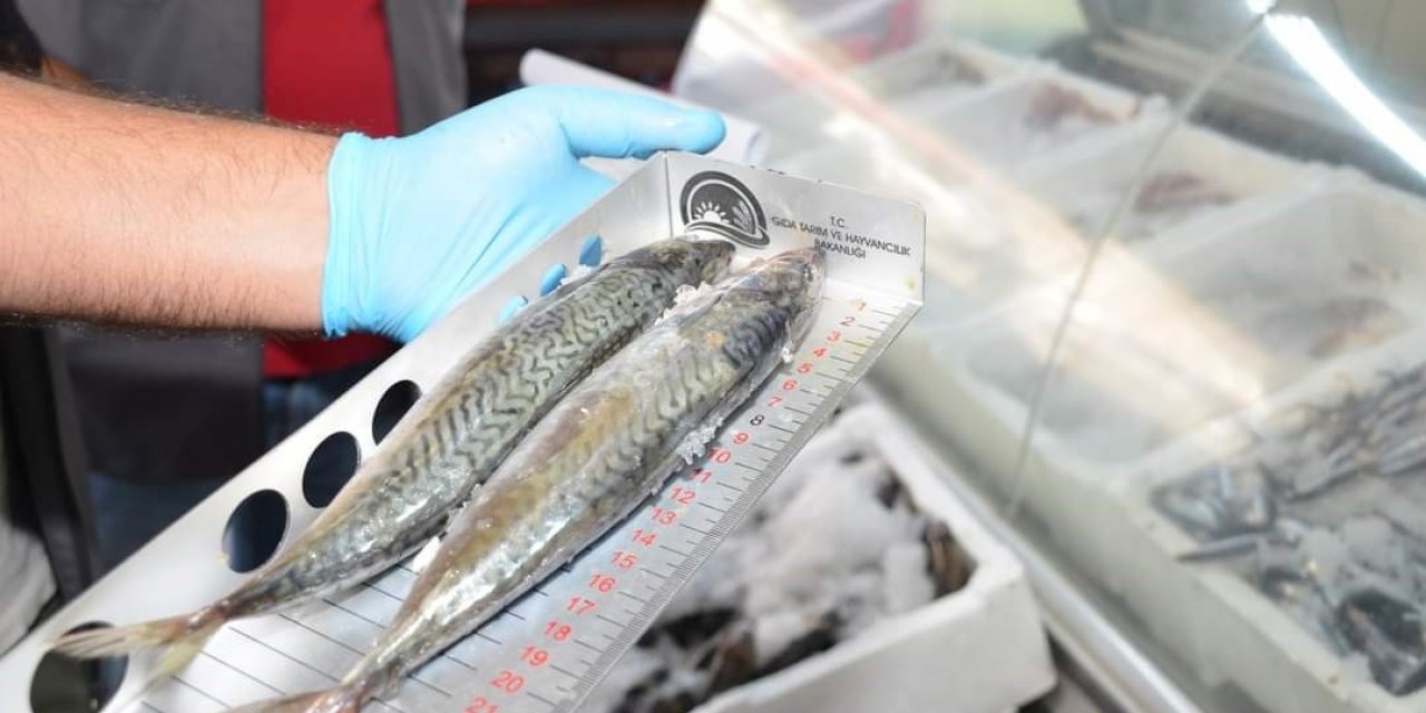 Niğde’de Perakende Balık Satışı Yapan Yerler Denetlendi