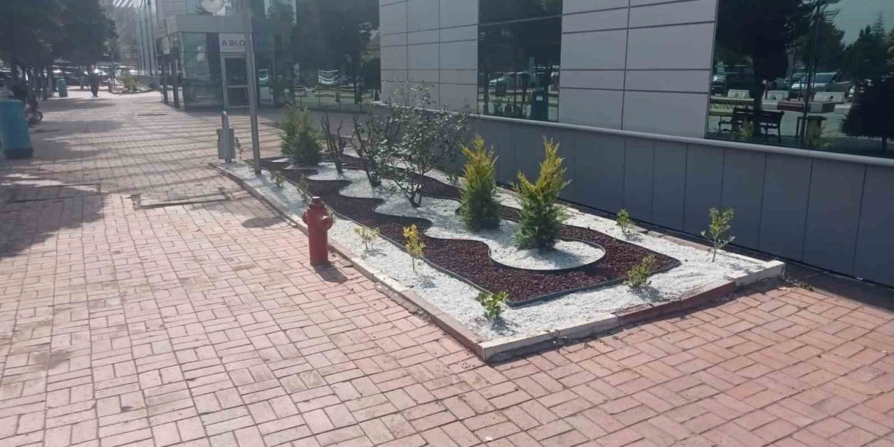 Devlet Hastanesi çevre düzenlemesi sonrası yeni çehresine kavuştu