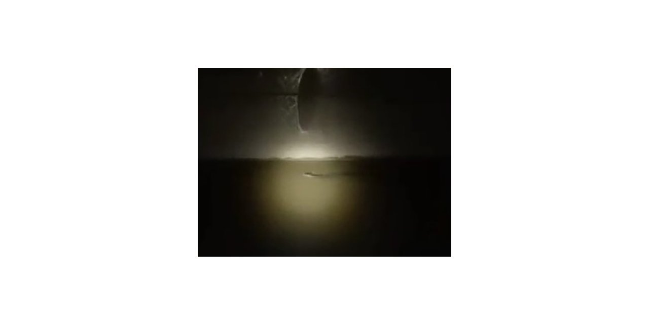 Diyarbakır’da nesli tükenmekte olan ’su samuru’ görüldü