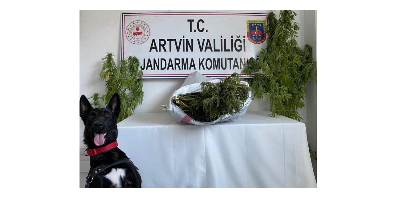 Jandarma uyuşturucu tacirlerine göz açtırmıyor