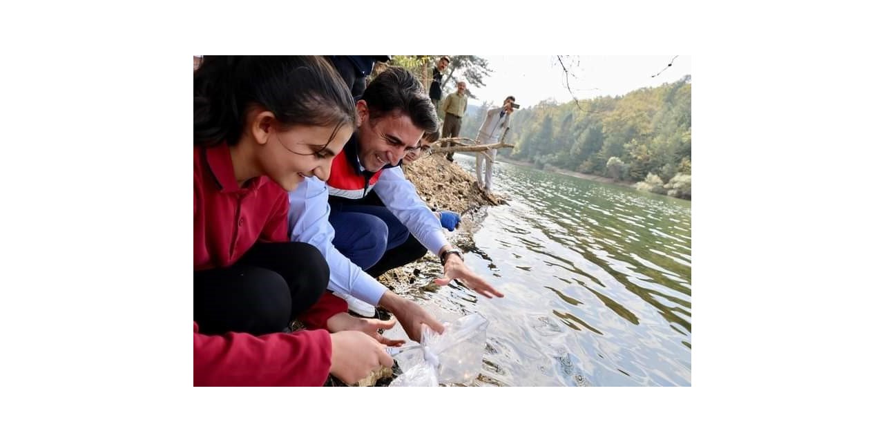 Bilecik’teki göletlere 112 bin yavru sazan bırakıldı