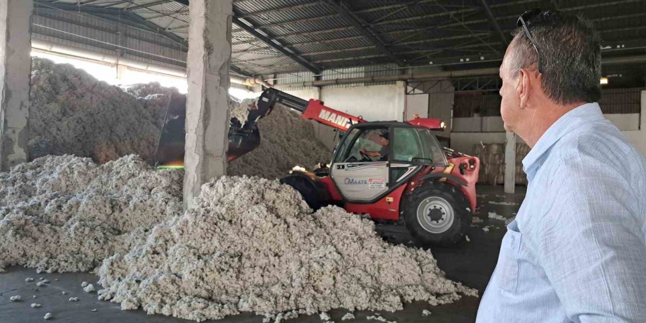 Söke TARİŞ’in iki deposuna 3 milyon kilogram pamuk girişi oldu