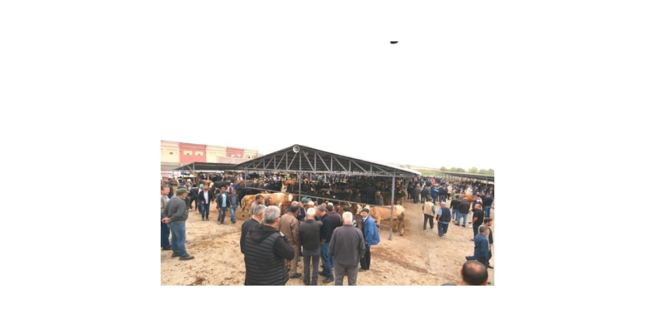 Sandıklı’ da hayvan pazarı yeni yerinde açıldı