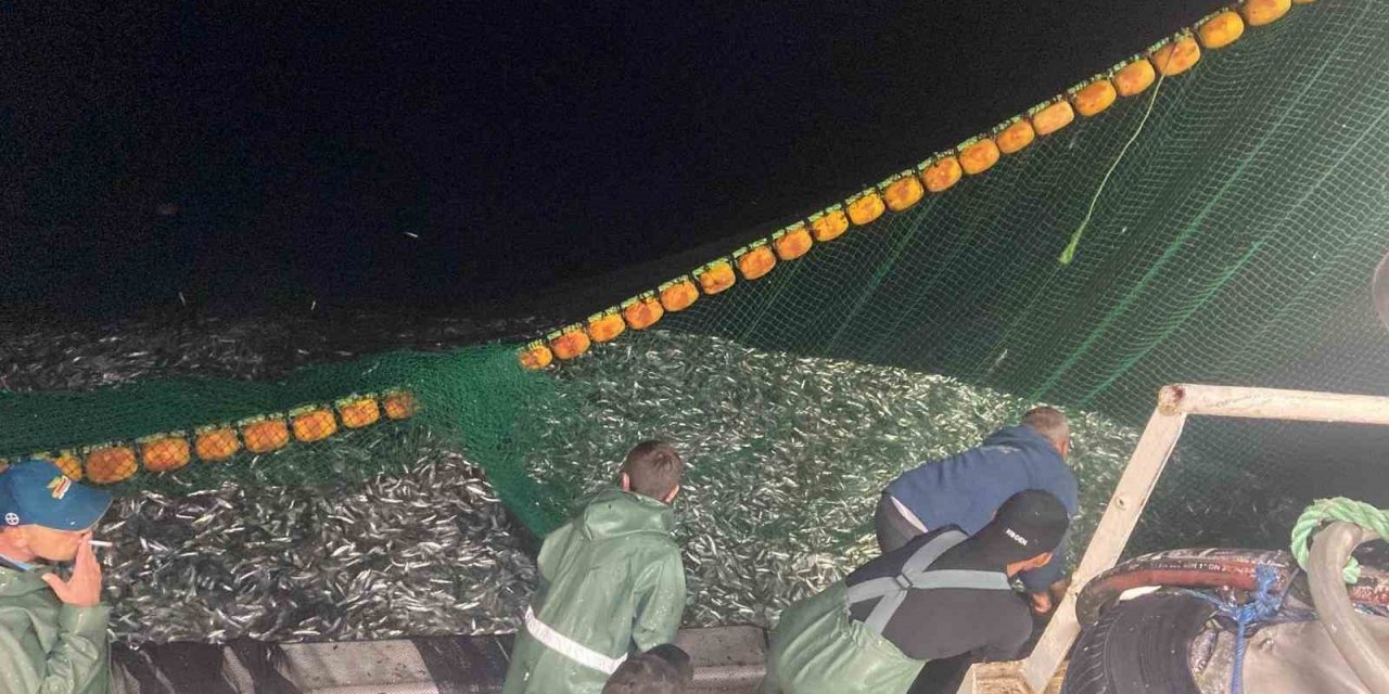 Çanakkale Boğazı’nda 30 ton sardalya yakaladı