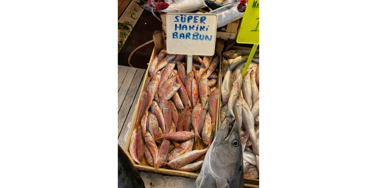 Tezgahlarda balık bolluğu