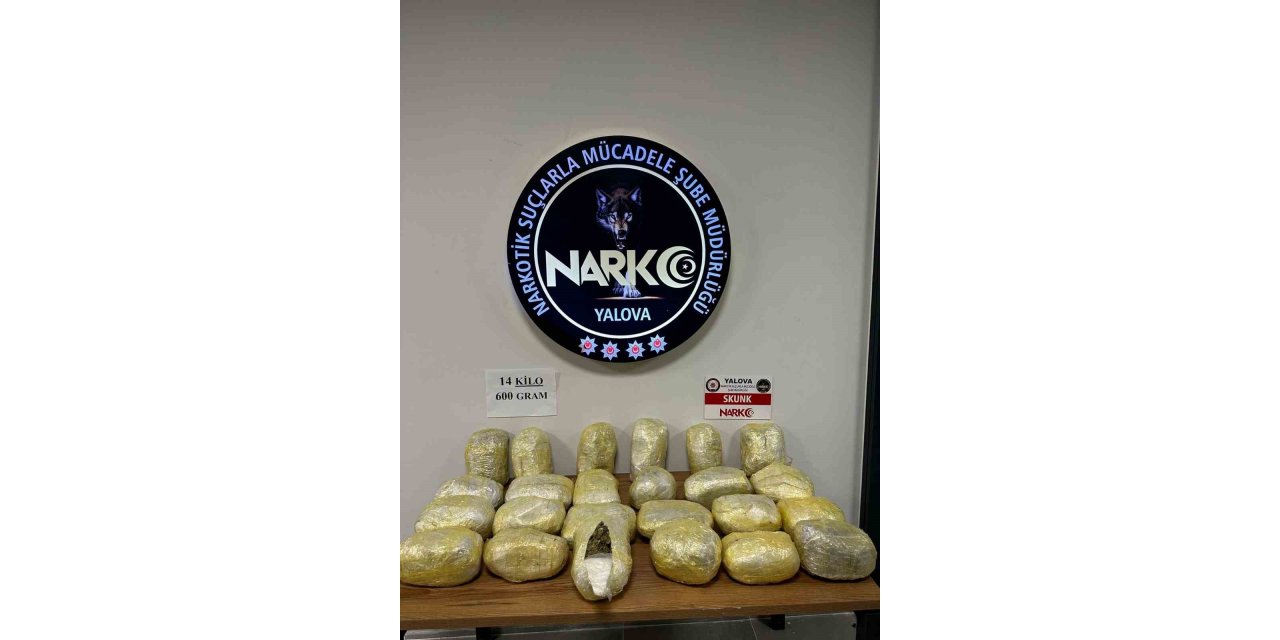 Yalova’da 14 kilo 600 gram skunk ele geçirildi