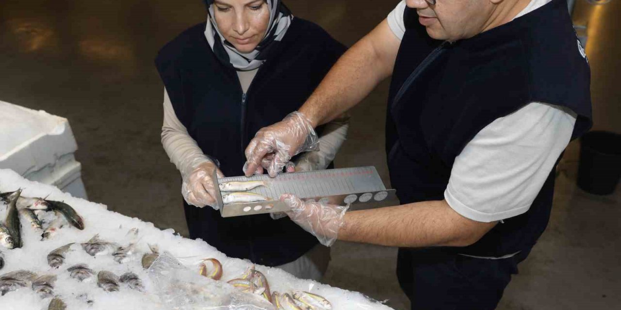 Diyarbakır’da balık satış yerleri denetlendi