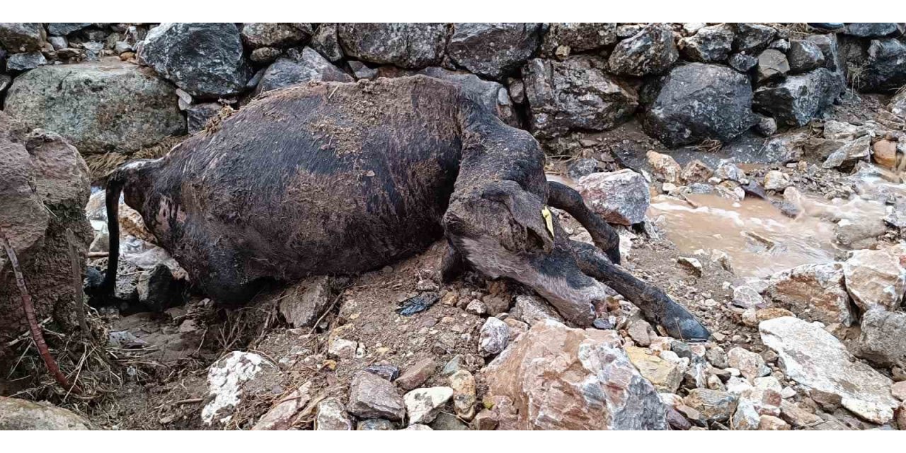 Batman’da sağanak yağış nedeniyle köy yolları bozuldu, 2 inek telef oldu