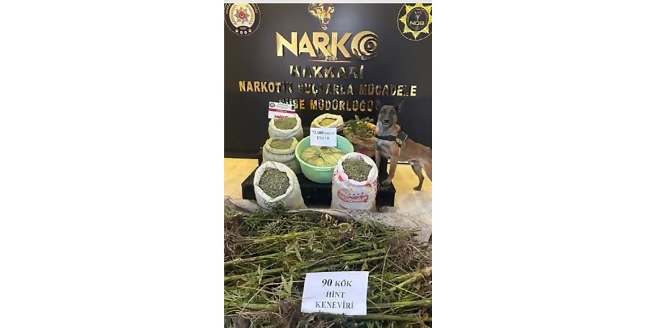 Yüksekova’da 72 kilo esrar 90 kök kenevir ele geçirildi