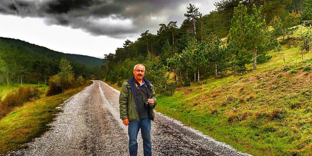 Peyzaj ile tarihi ağaçlar zarar görebiliyor